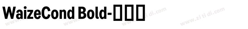 WaizeCond Bold字体转换